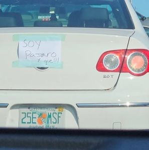 Meet your Posher, Angelo